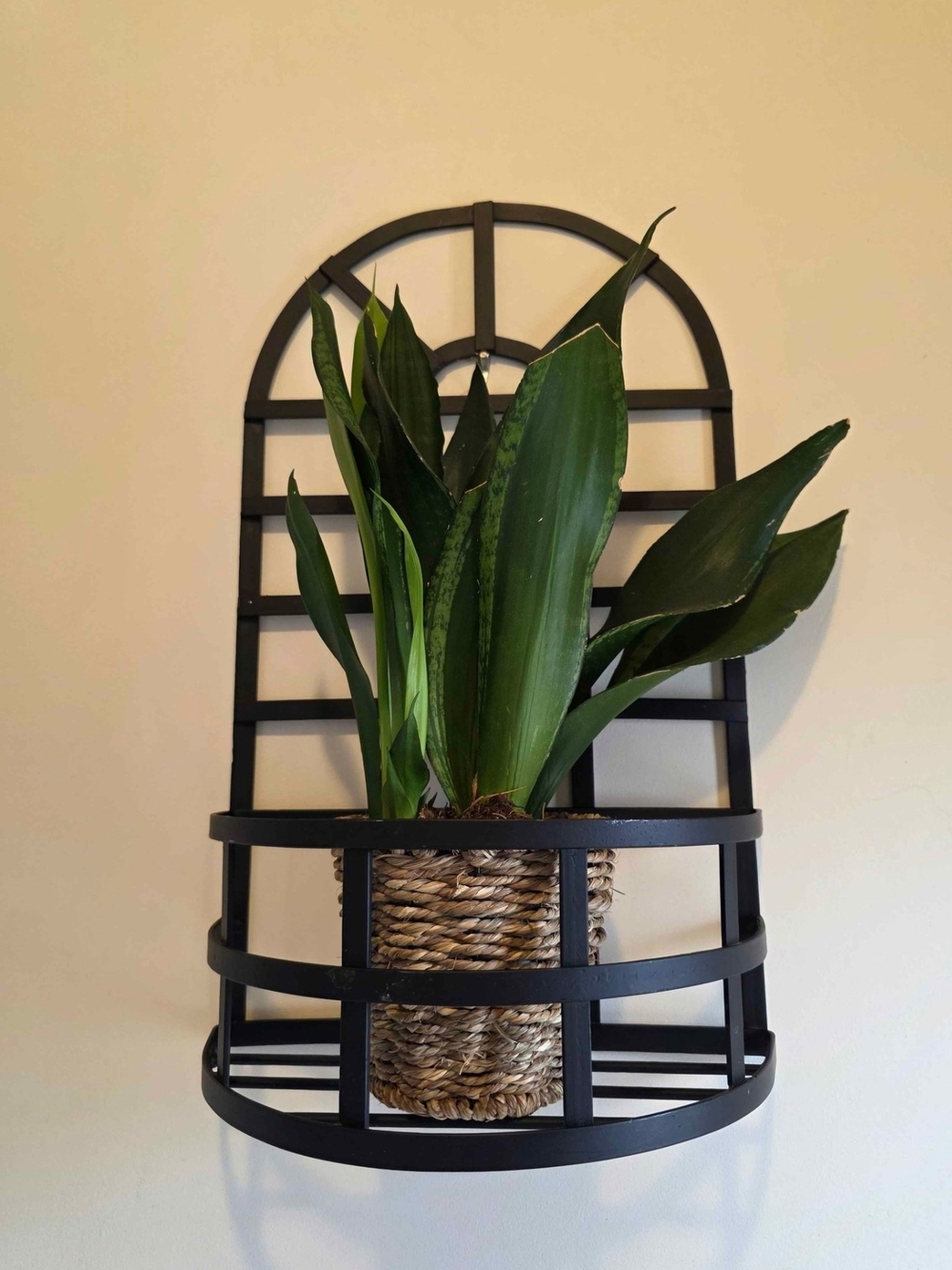 Black Metal Wall Planter/Shelf